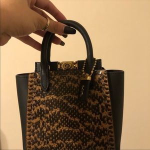 Mini snakeskin troupe coach